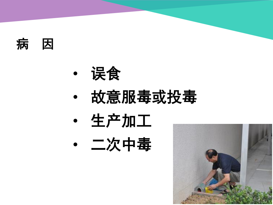 急性灭鼠剂中毒.ppt_第3页