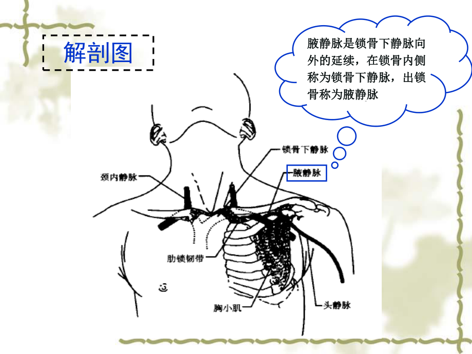 浅谈腋静脉穿刺术.ppt_第3页