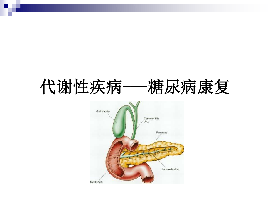 糖尿病的康复.ppt_第2页