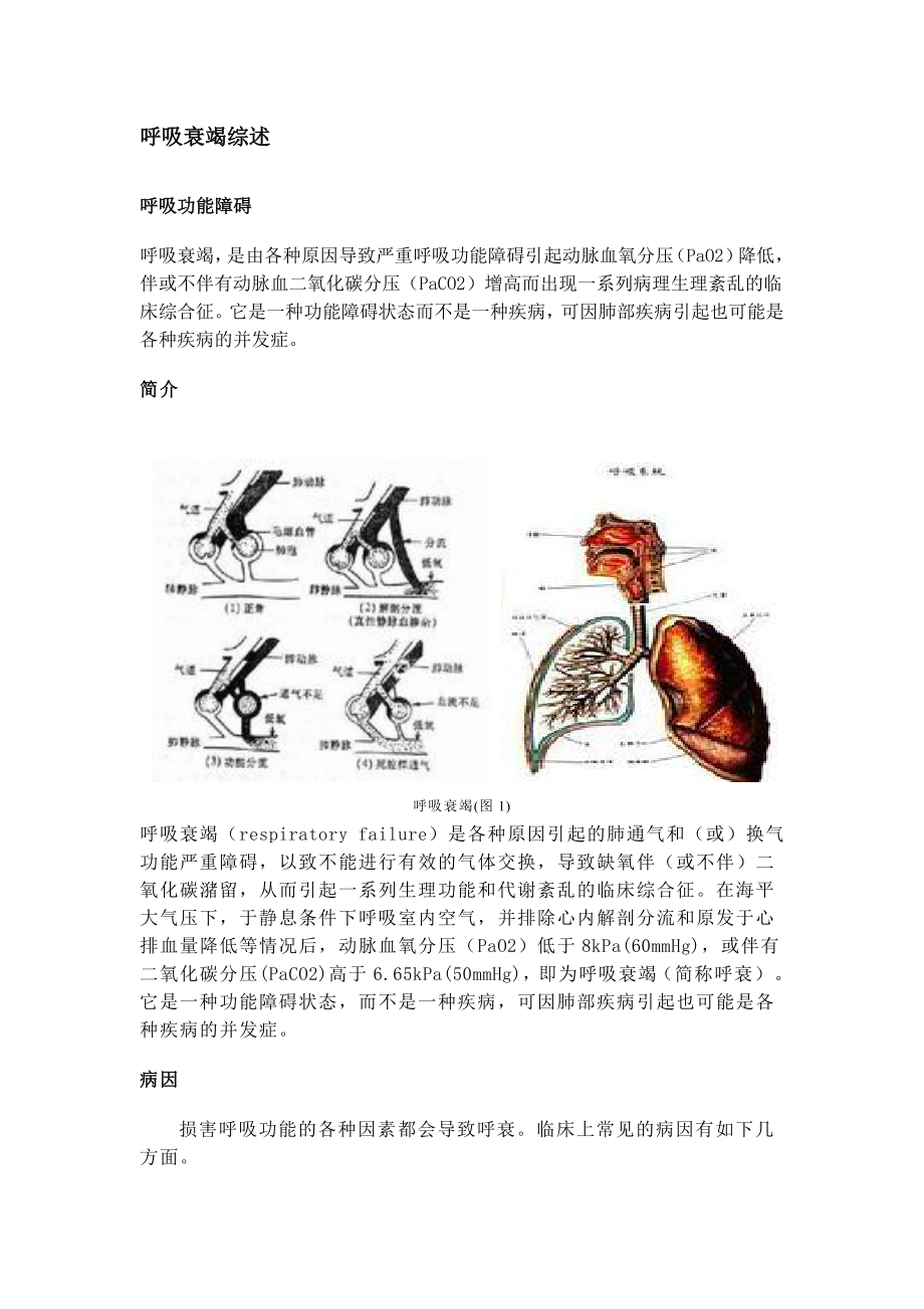 呼吸衰竭综述.doc_第1页