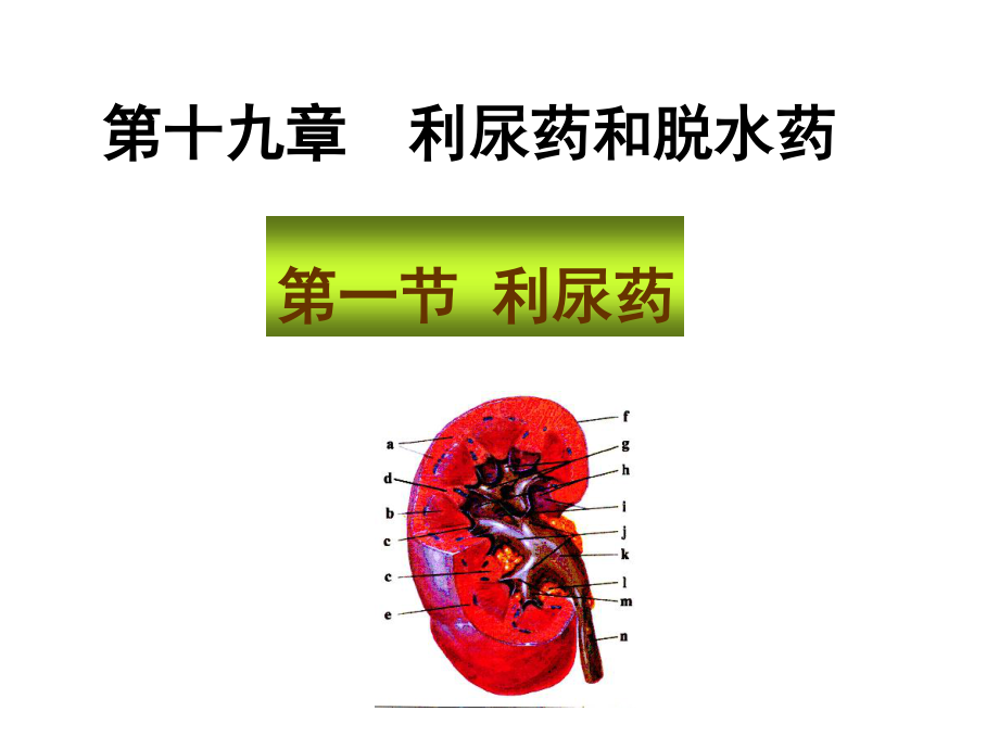 药理---利尿药与脱水药--ppt.ppt_第1页