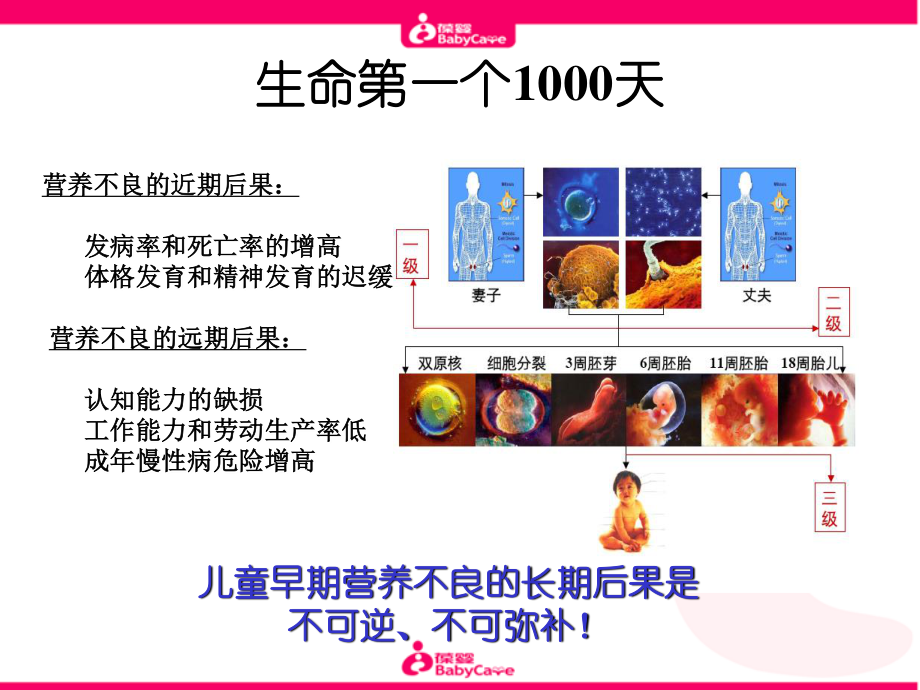 婴幼儿大脑发育的奥秘.ppt_第3页