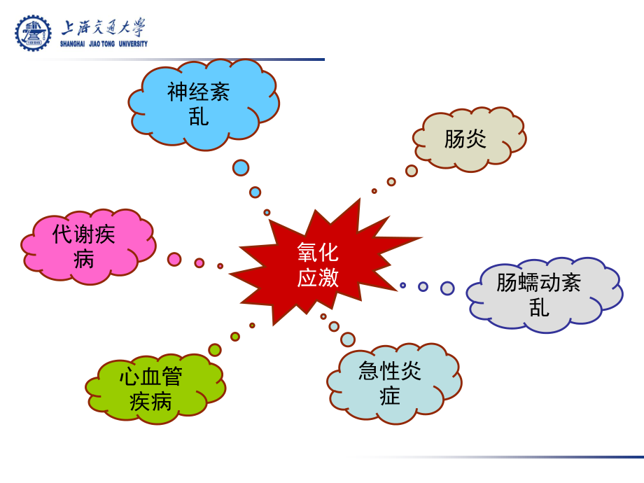 氧化应激与消化道功能的关系.ppt_第3页