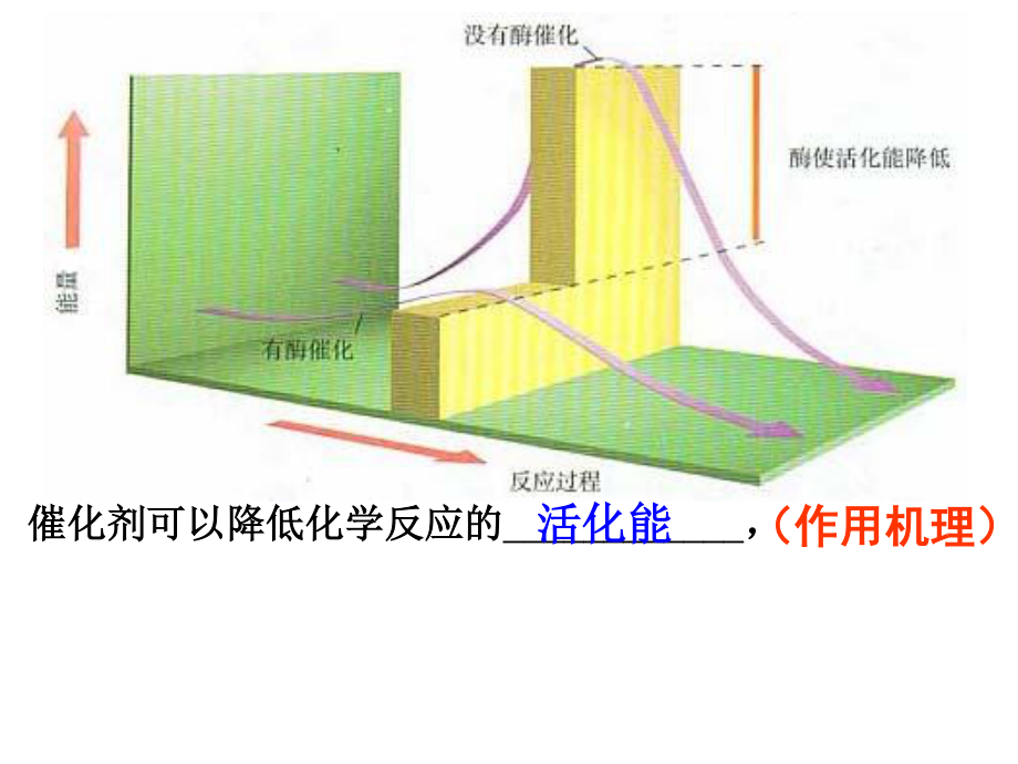 复习5-细胞的能量供应和利用.ppt_第3页