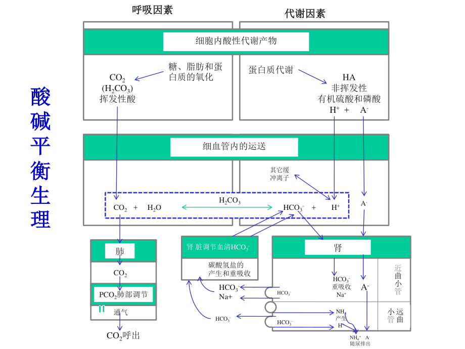 血气分析-jxys-5-5.ppt_第2页