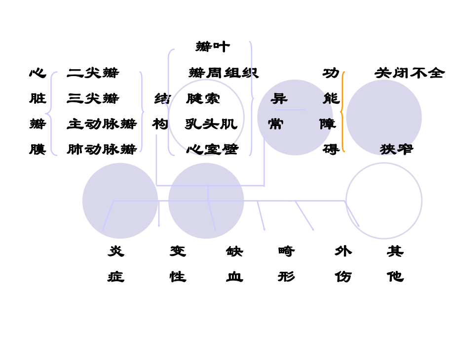 瓣膜病zhihong.ppt_第3页