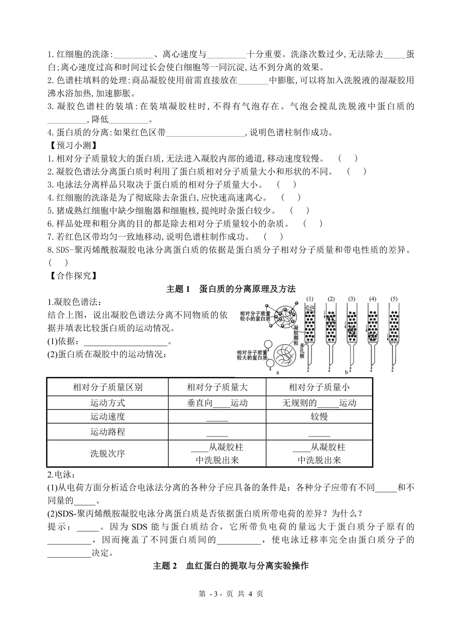 血红蛋白的提取和分离-学案.doc_第3页