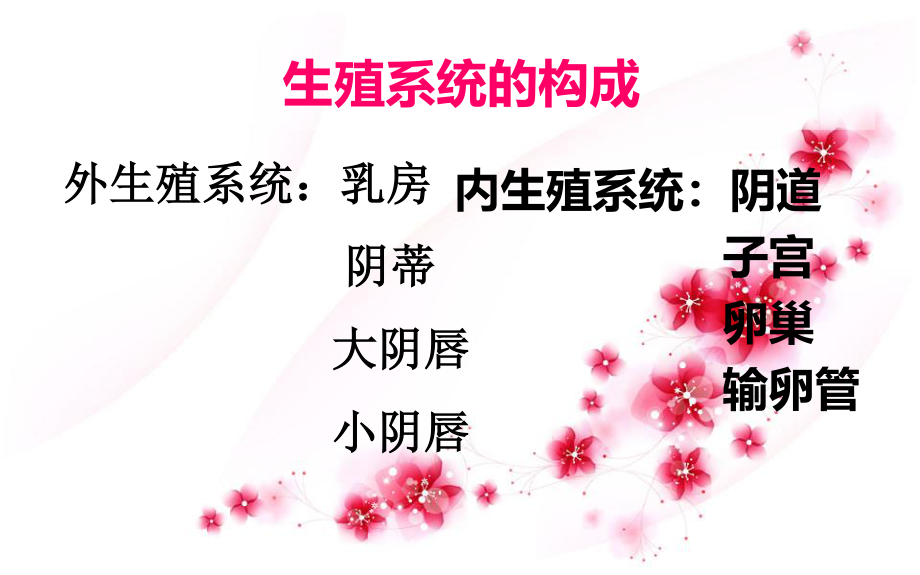 妇科讲座.ppt_第2页