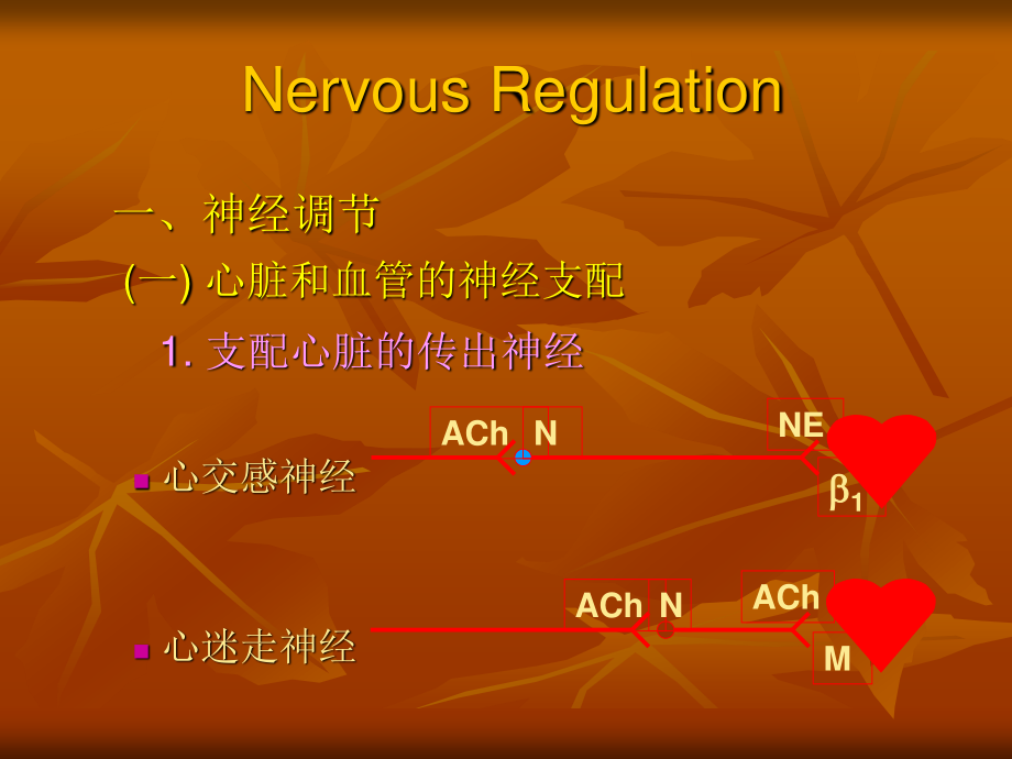 生理血液循环7.ppt_第3页