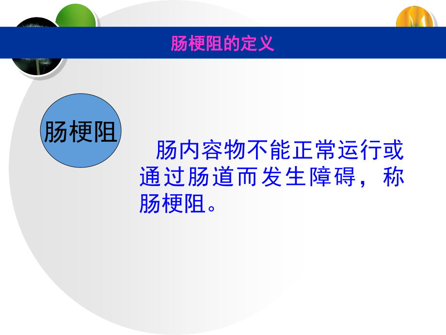 急性肠梗阻的应急预案.ppt_第2页