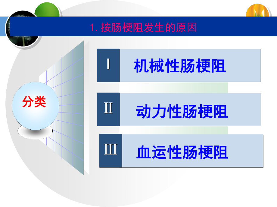 急性肠梗阻的应急预案.ppt_第3页