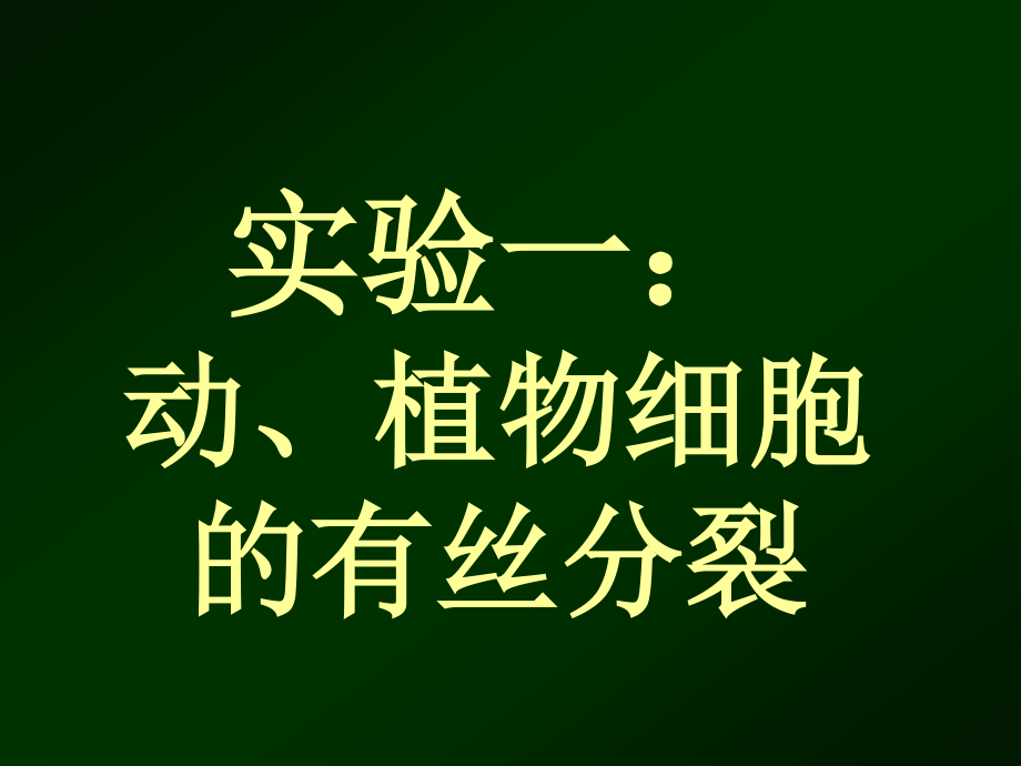 植物细胞的有丝分裂.ppt_第1页