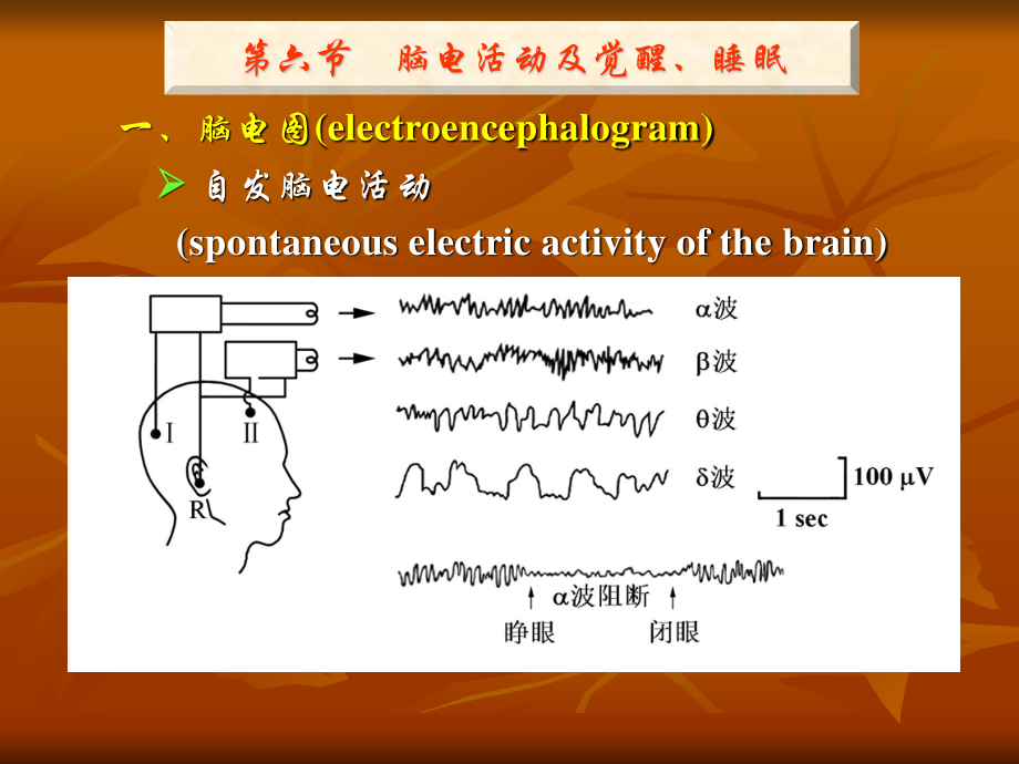 神经系统77大全.ppt_第1页