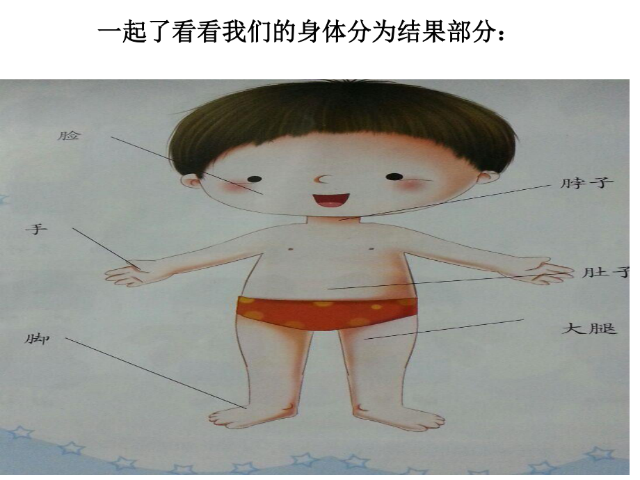 大班健康(身体部位)李艳玲.ppt_第2页