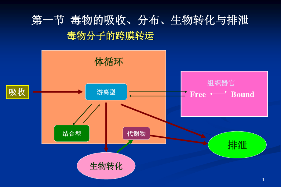 药代学参考.ppt_第1页