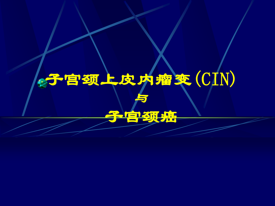 子宫颈上皮内瘤变(CIN)..ppt_第1页