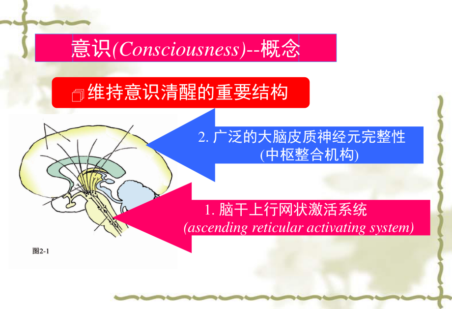 意识障碍分级剖析.ppt_第3页