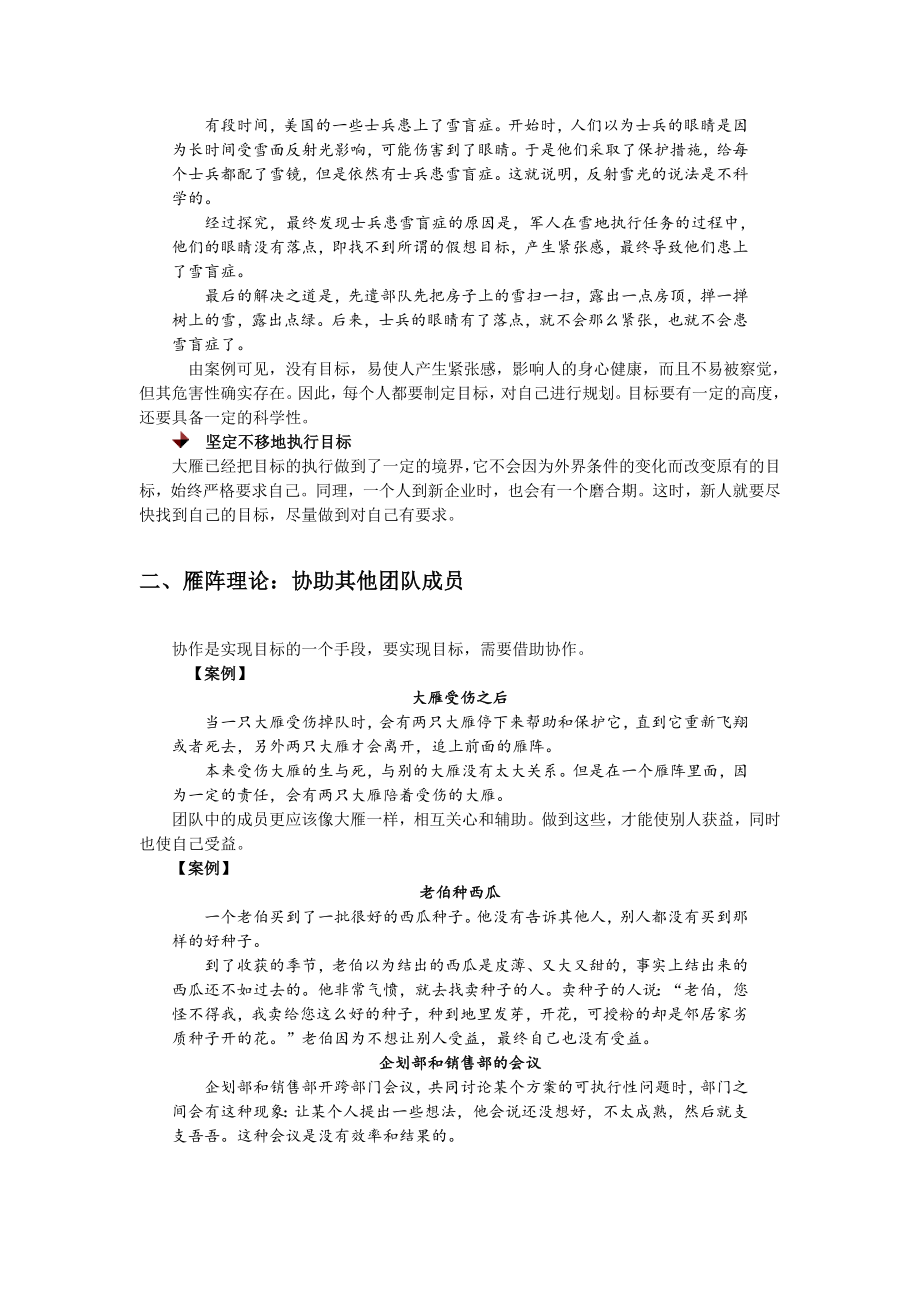 如何用大雁精神训练团队.doc_第3页