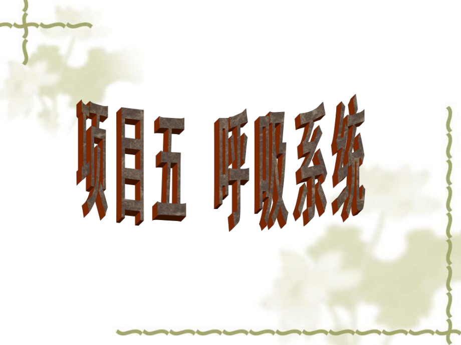 呼吸系统幻灯片.ppt_第1页