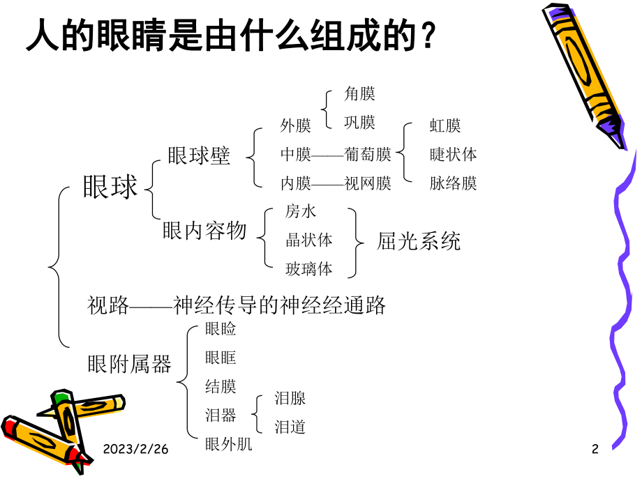 眼科基础知识.ppt_第2页