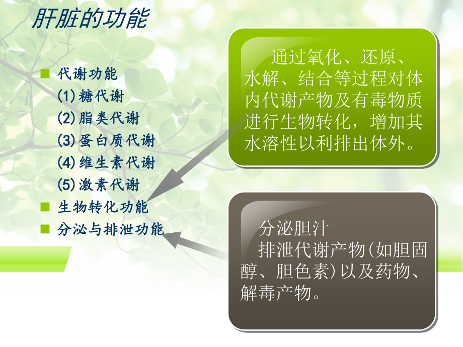 常用保肝药分类及应用.ppt_第3页