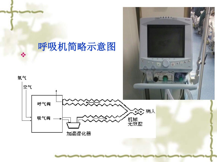 呼吸机的使用.ppt_第3页