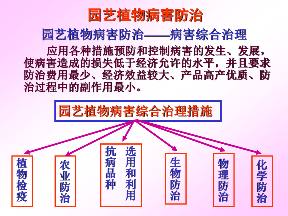 植物病害的防治.ppt_第2页