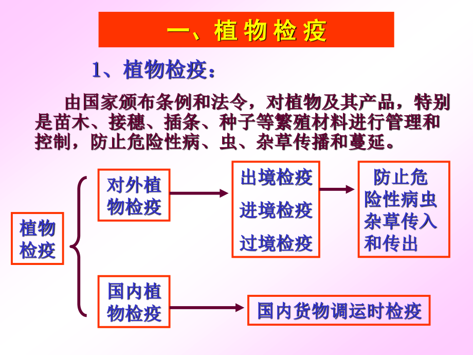 植物病害的防治.ppt_第3页