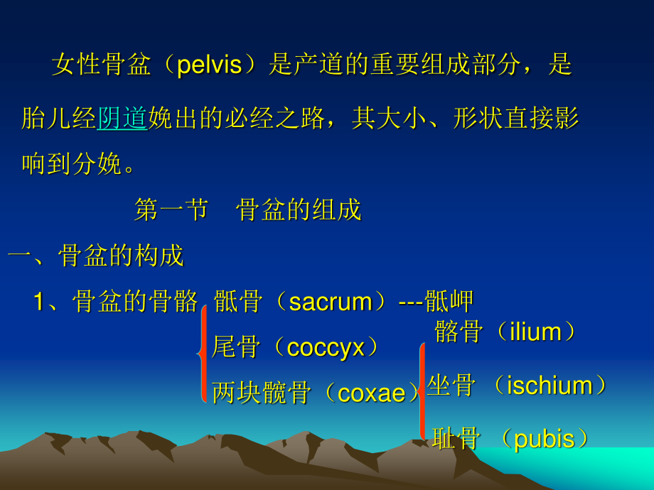 女性骨盆是产道的重要组成部分-.ppt_第2页