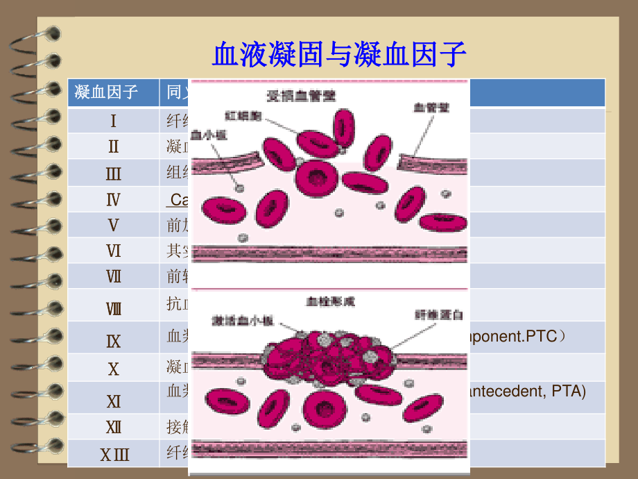 血液与造血系统用药.ppt_第3页