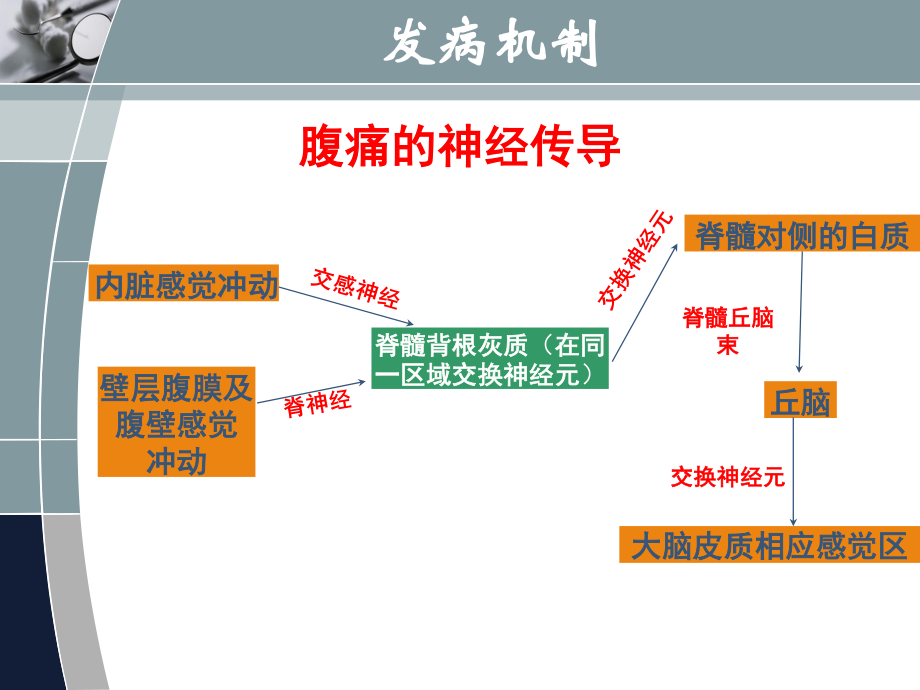 急腹症的分诊-1.ppt_第3页