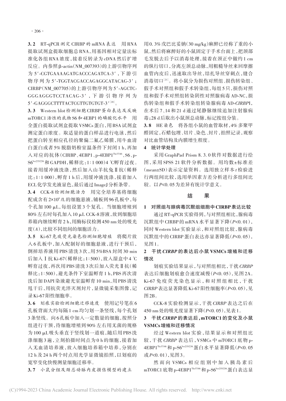 CIRBP对小鼠血管平滑肌...增殖及迁移的调控及机制研究_赵嘉琪.pdf_第3页