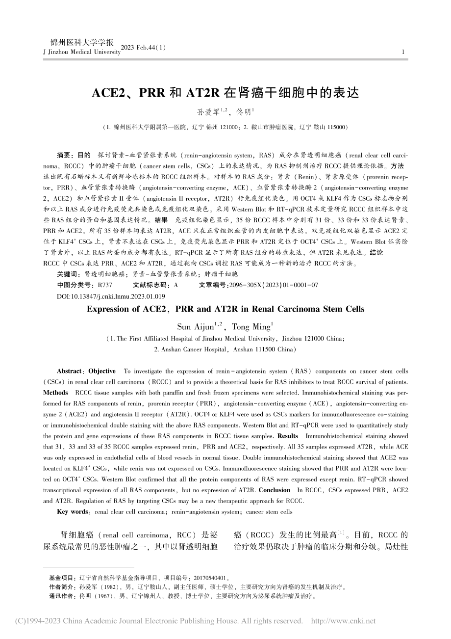 ACE2、PRR和AT2R在肾癌干细胞中的表达_孙爱军.pdf_第1页