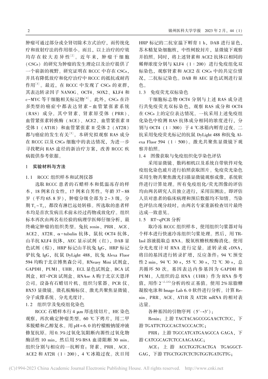 ACE2、PRR和AT2R在肾癌干细胞中的表达_孙爱军.pdf_第2页