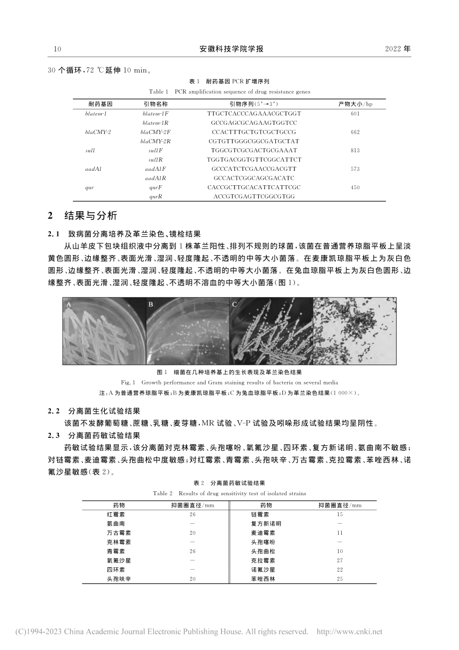 1株山羊节杆菌的分离鉴定、药敏试验及耐药基因检测_邓亚飞.pdf_第3页