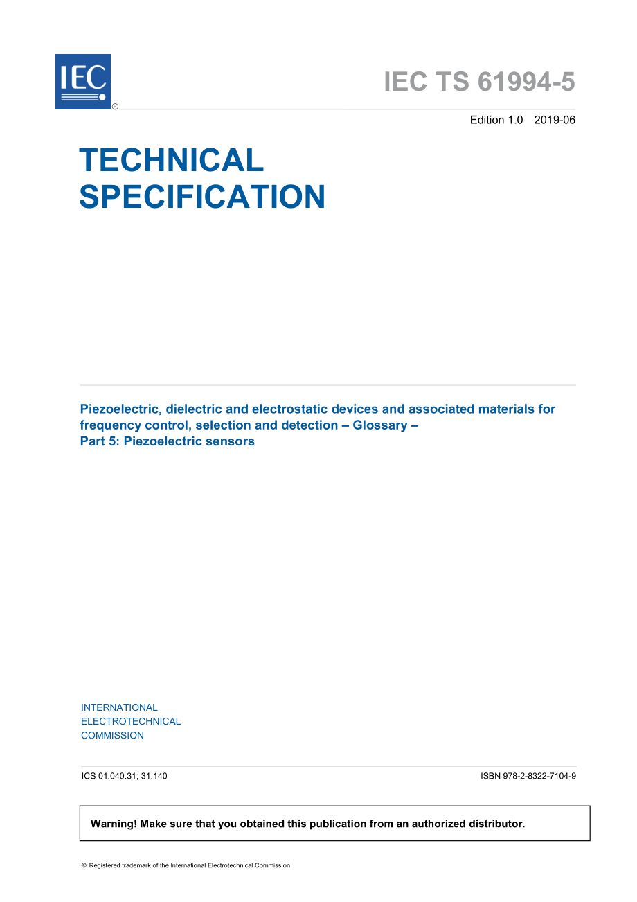 IEC_TS_61994-5-2019.pdf_第3页