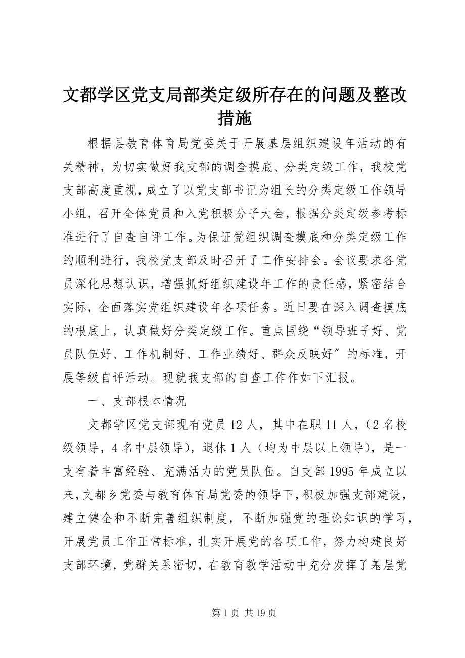 2023年文都学区党支部分类定级所存在的问题及整改措施.docx_第1页