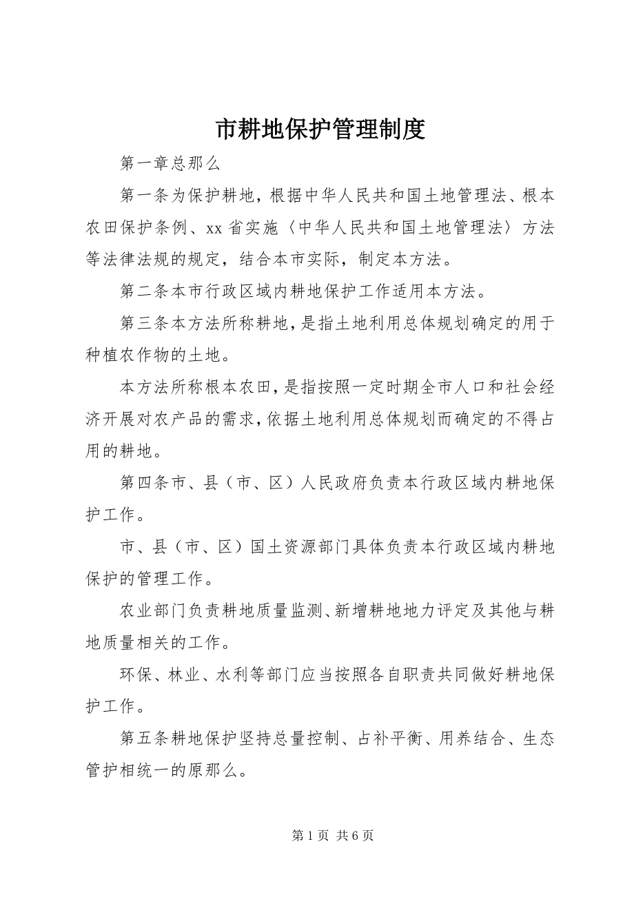 2023年市耕地保护管理制度.docx_第1页