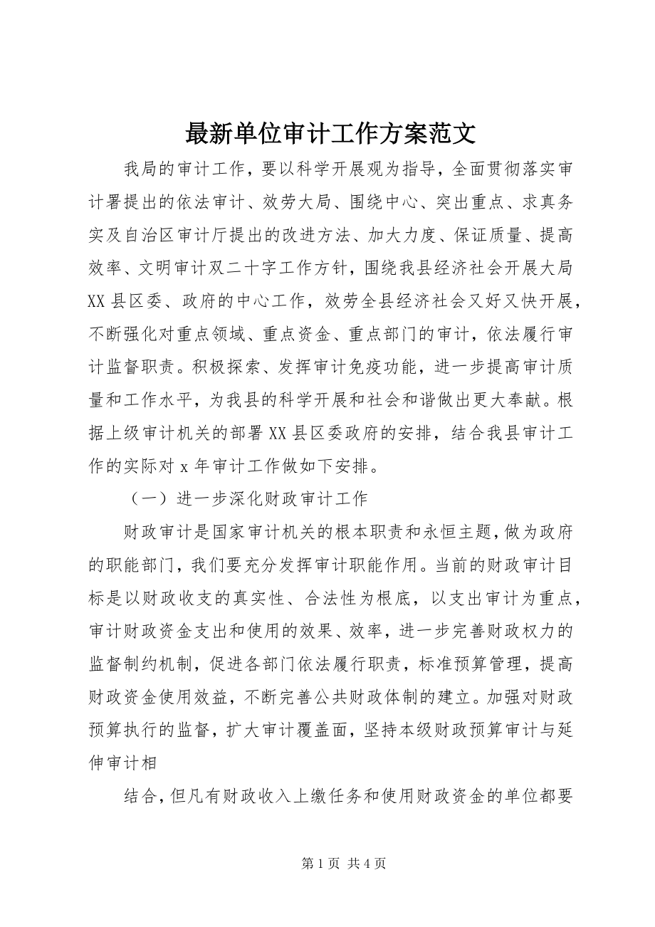 2023年单位审计工作计划.docx_第1页