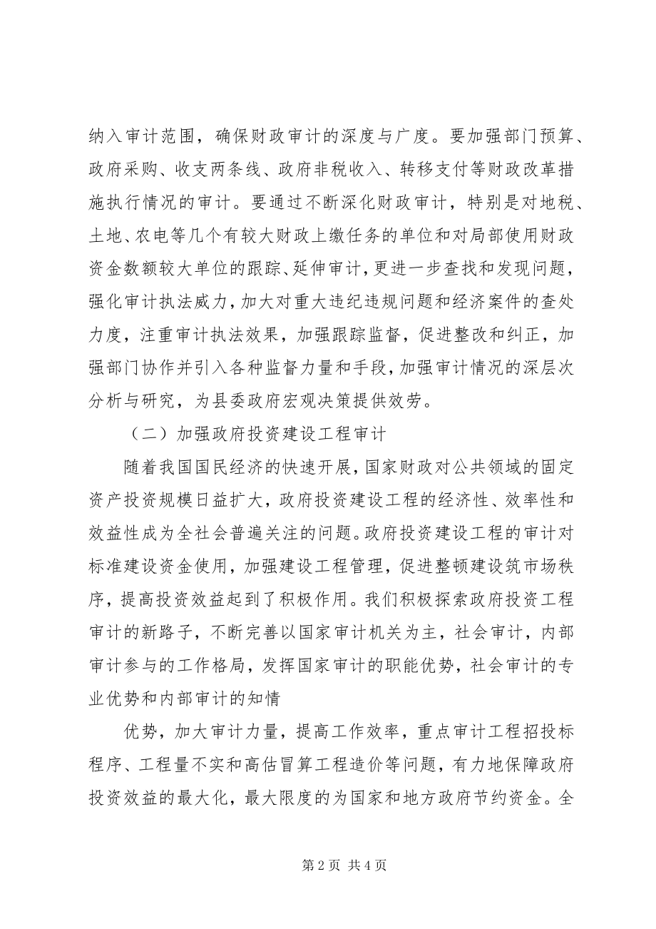 2023年单位审计工作计划.docx_第2页