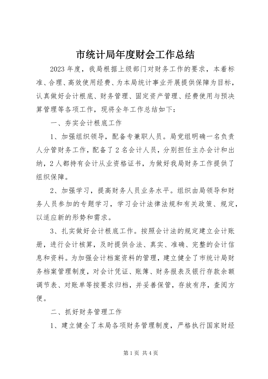 2023年市统计局年度财会工作总结.docx_第1页