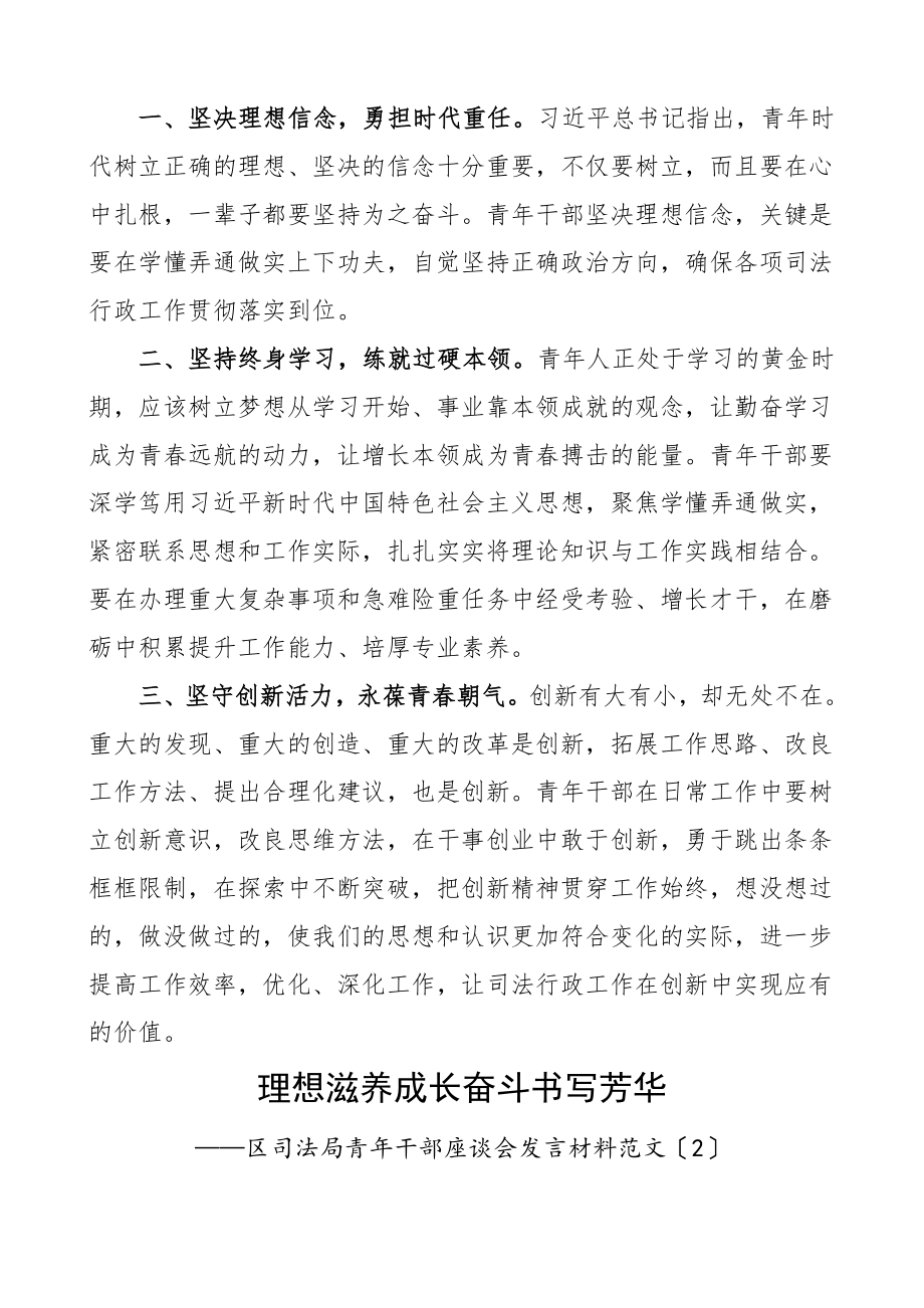 青年干部发言区司法局青年干部座谈会发言材料7篇年轻干部研讨发言材料.doc_第2页