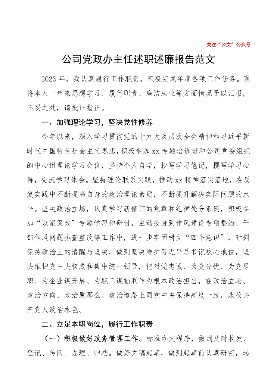 公司党政办主任述职述廉报告范文集团公司企业党办主任个人工作总结.doc_第1页