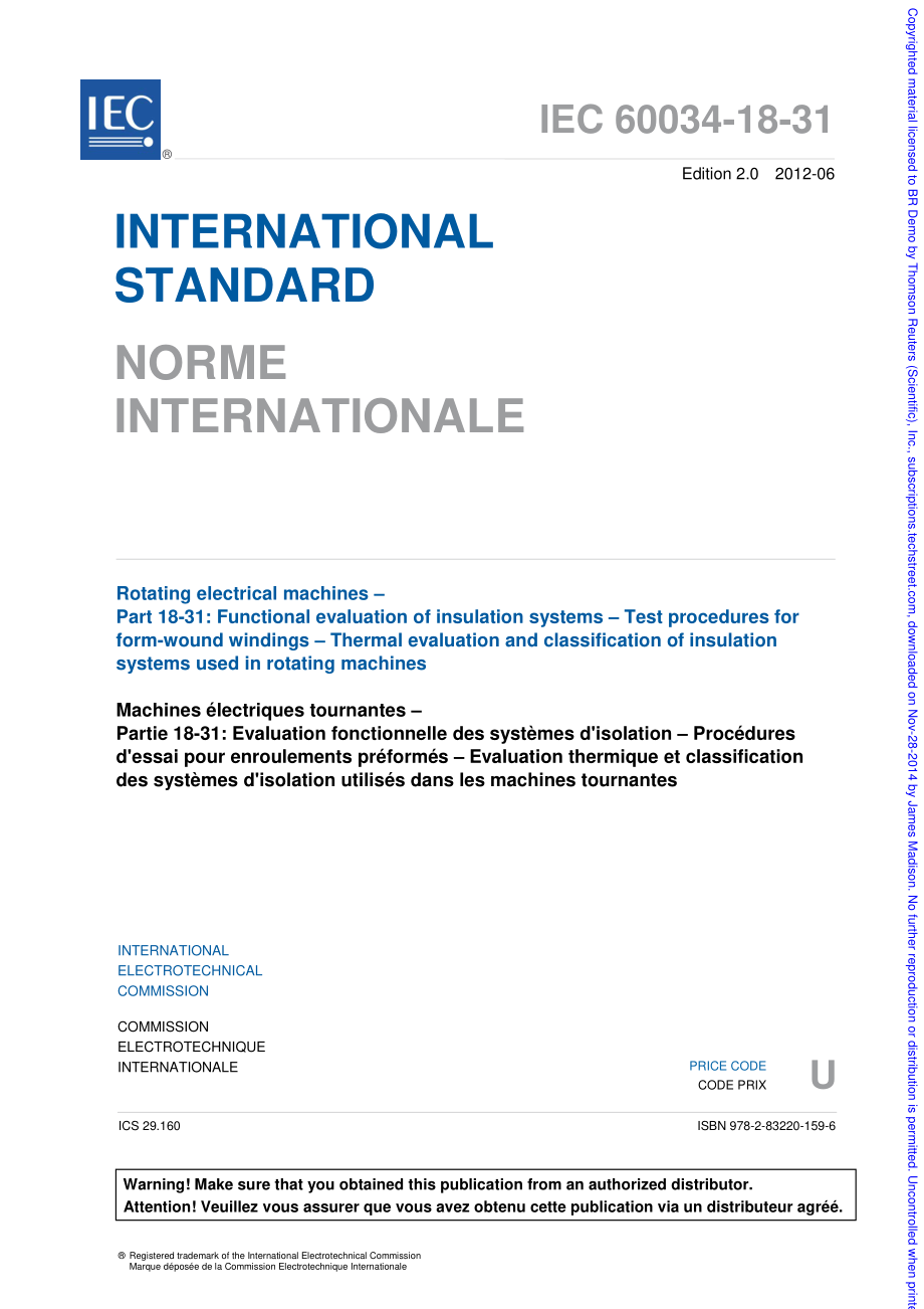 IEC_60034-18-31-2012.pdf_第3页