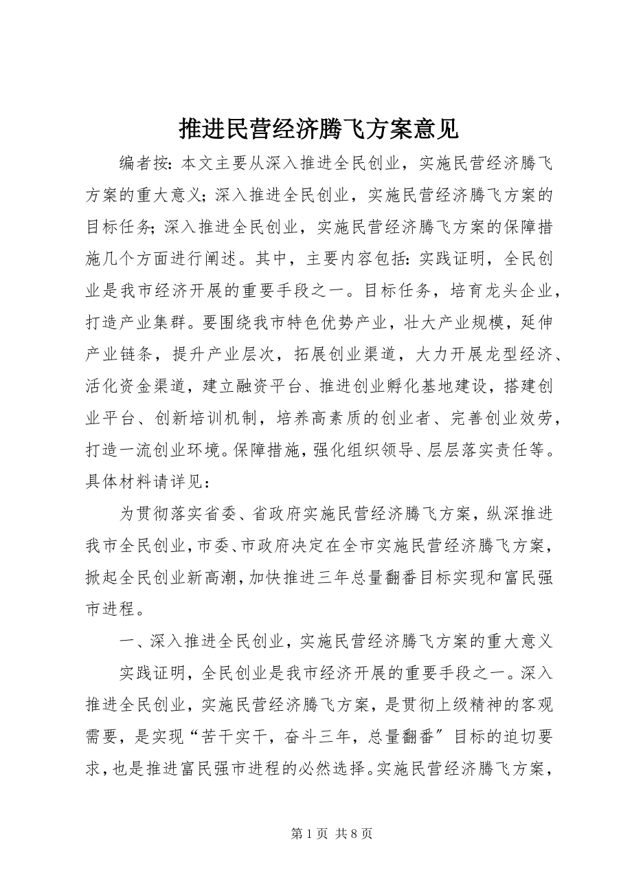 2023年推进民营经济腾飞计划意见.docx_第1页