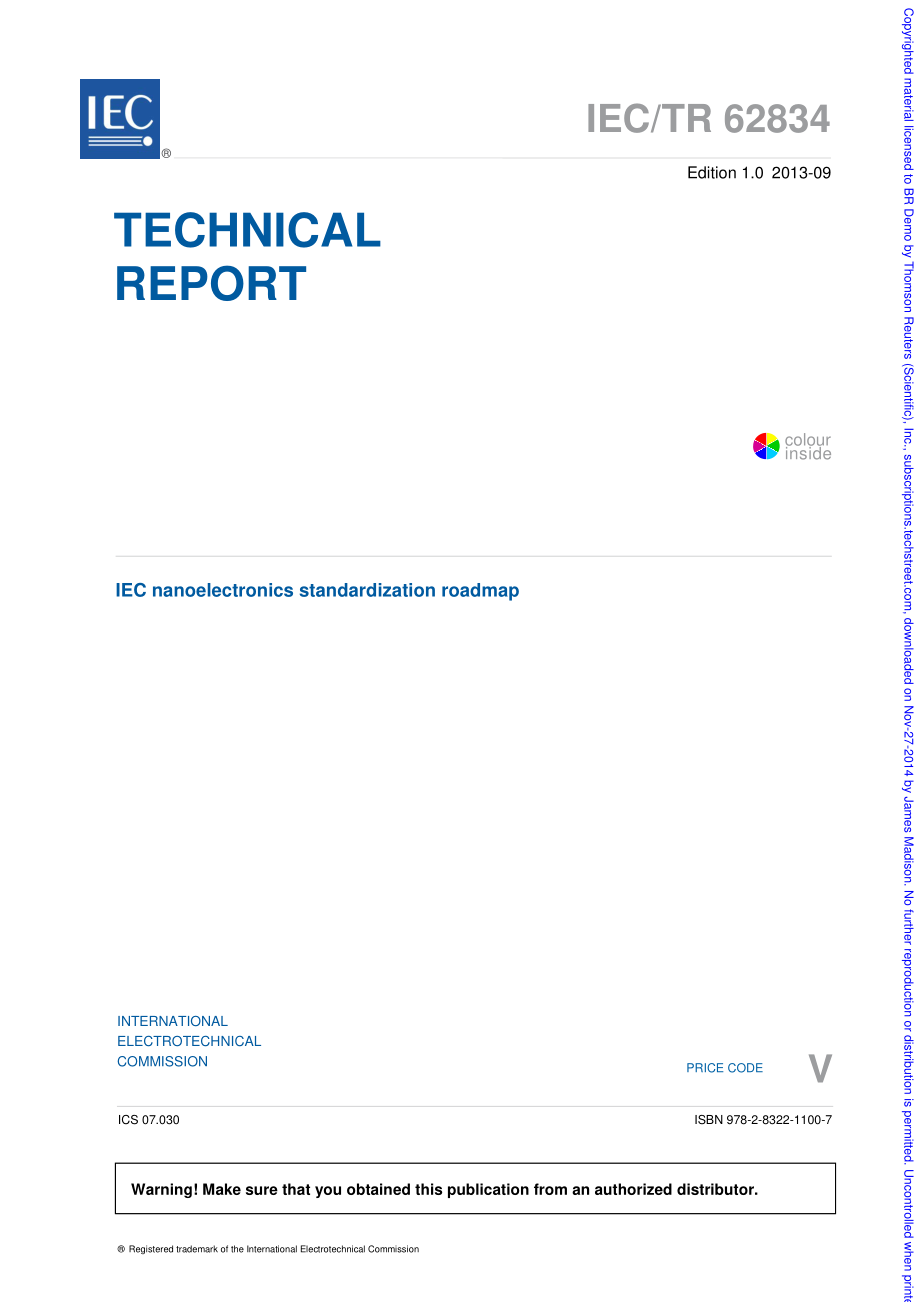 IEC_TR_62834-2013.pdf_第3页