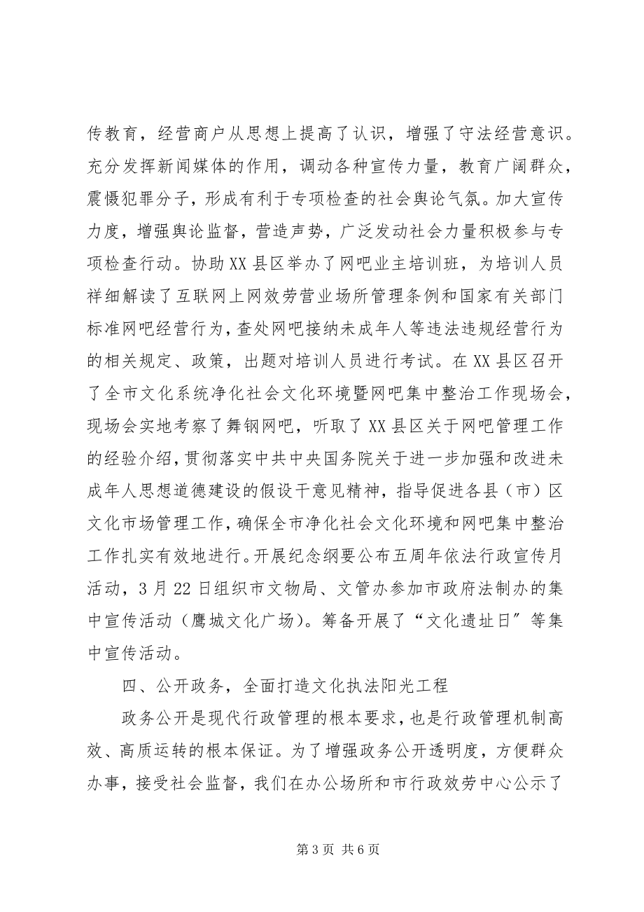 2023年文化局上半年依法行政工作总结.docx_第3页