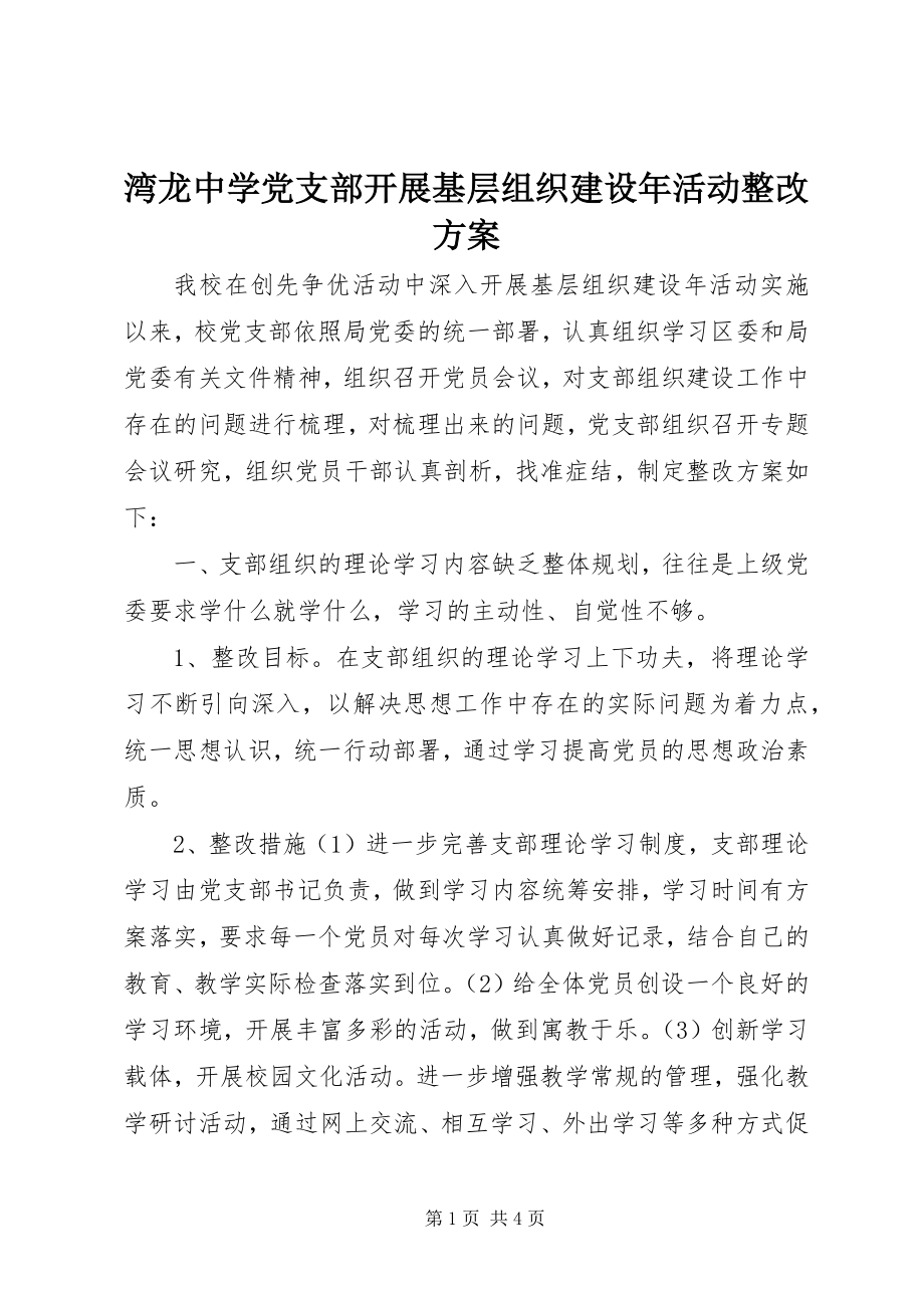 2023年湾龙中学党支部开展基层组织建设年活动整改方案.docx_第1页