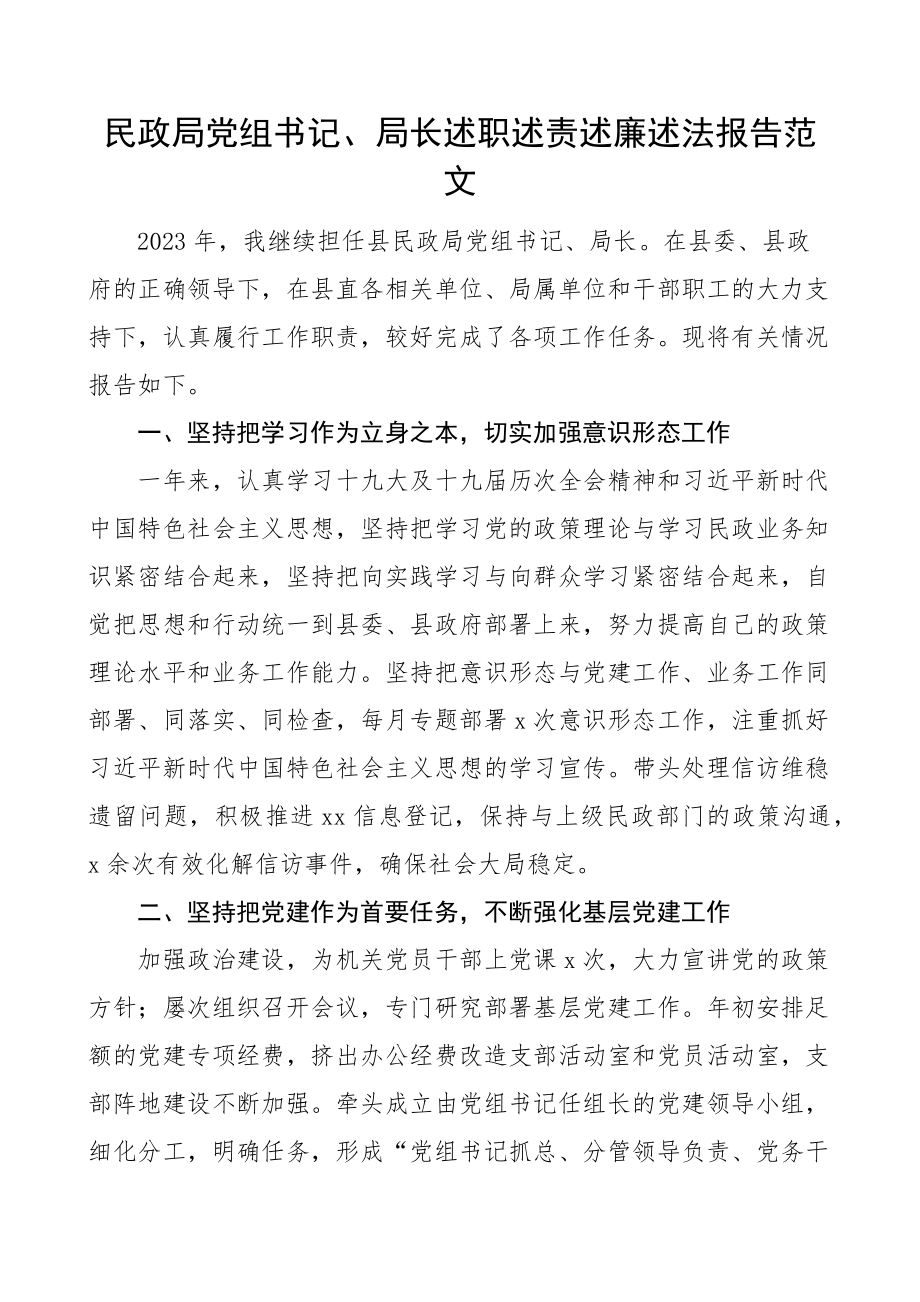 民政局党组书记局长述职述责述廉述法报告范文个人.docx_第1页