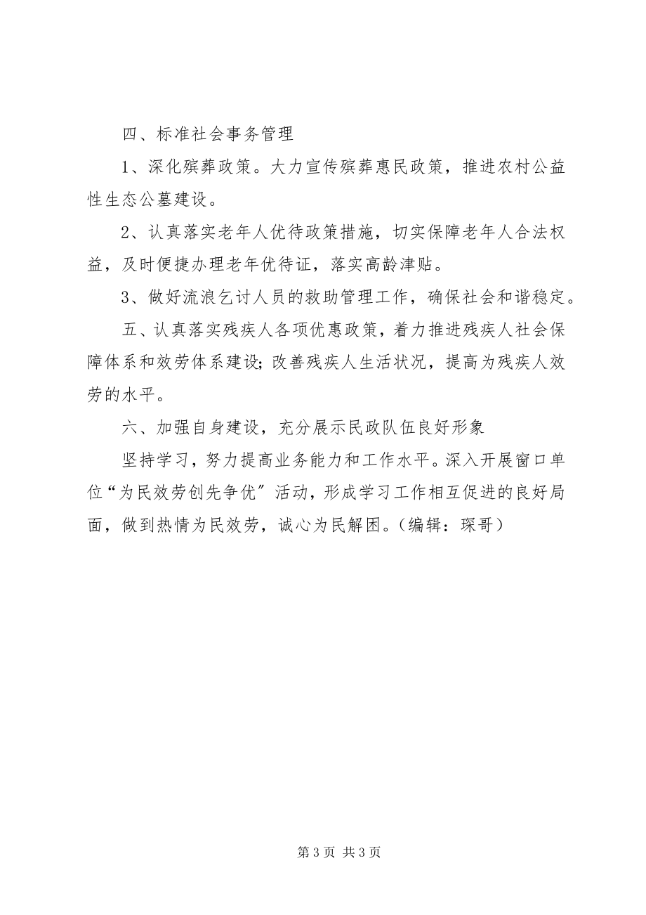 2023年镇民政工作计划.docx_第3页